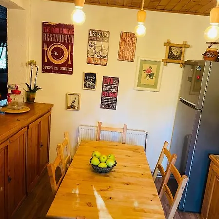 Holiday home Casa Renilor Azuga